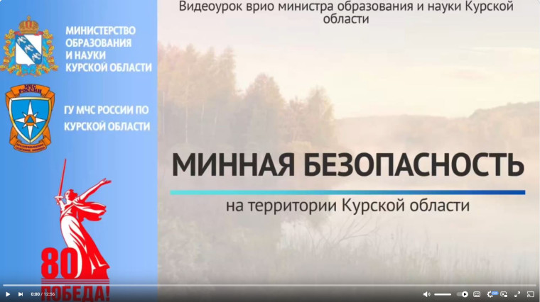 Видеоурок по минной безопасности.
